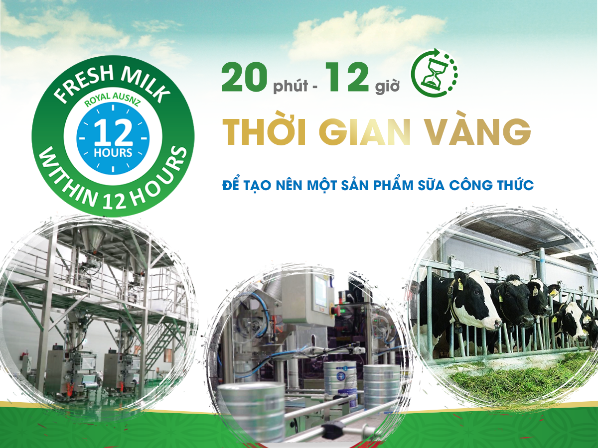 20 phút 12 giờ thời gian vàng để sản xuất sữa công thức