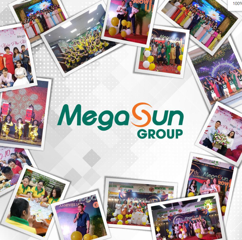 Megasun group