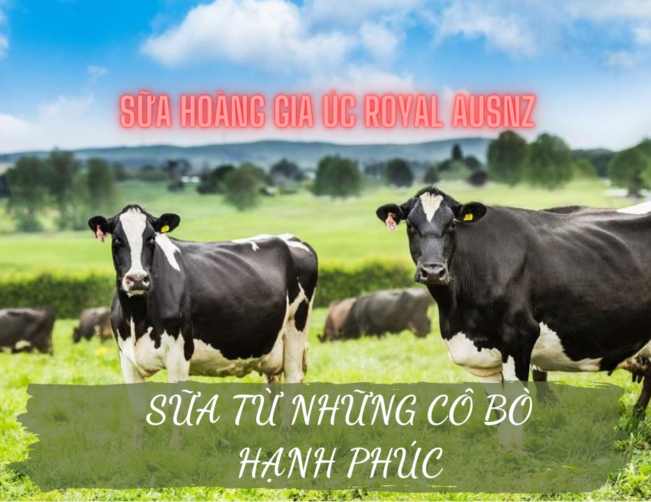 Sữa Hoàng Gia Úc Royal Ausnz