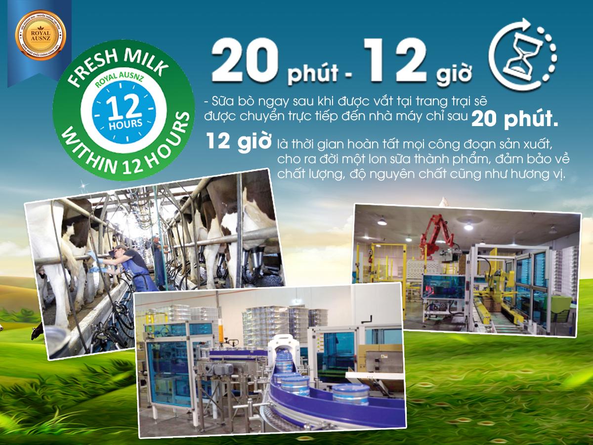 Tiêu chuẩn 20 phút 12 giờ